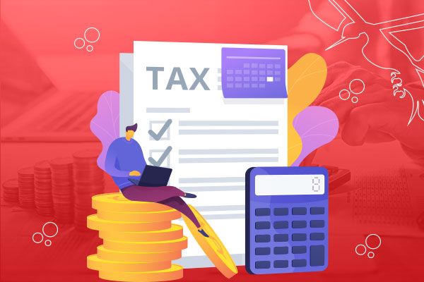 What is the concept of taxes and why are they important?